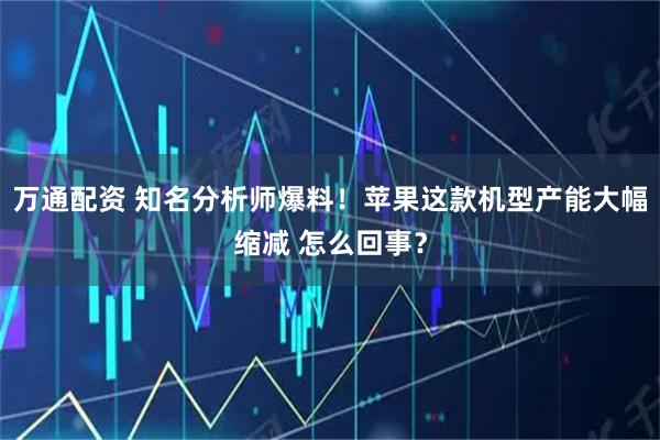 万通配资 知名分析师爆料！苹果这款机型产能大幅缩减 怎么回事？