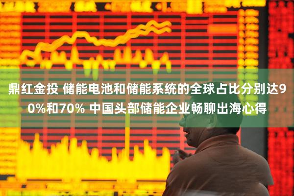 鼎红金投 储能电池和储能系统的全球占比分别达90%和70% 中国头部储能企业畅聊出海心得